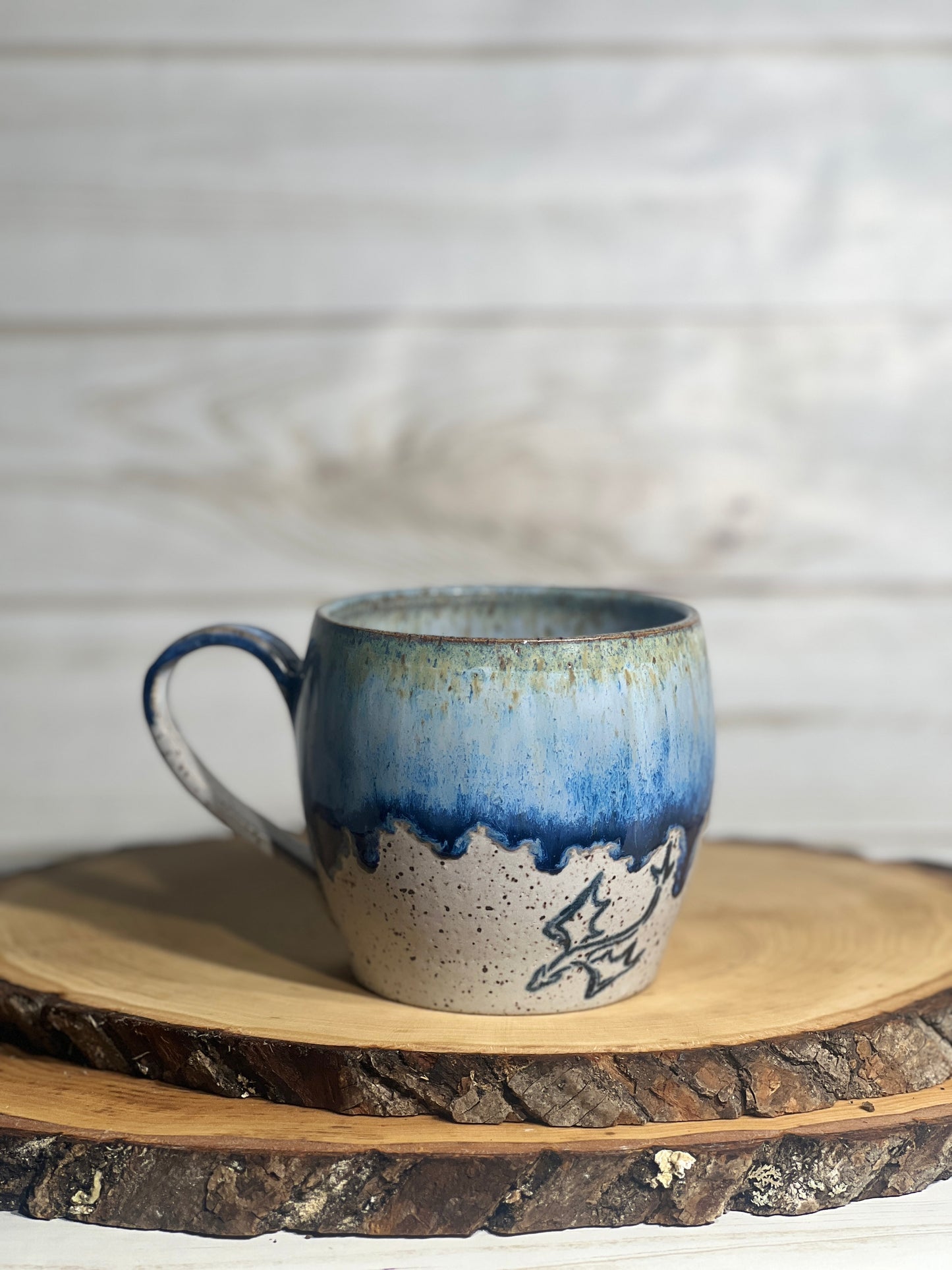 Fourth wing Sgaeyl mug